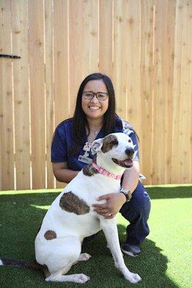 Culebra Creek Veterinary Hospital & Resort