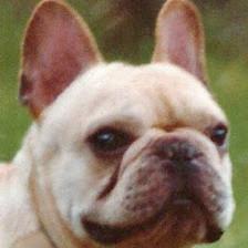 Marbach Road Animal Hospital