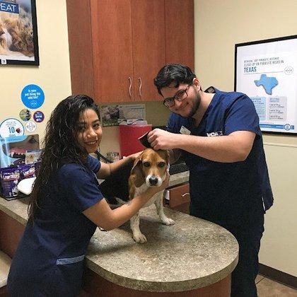 VCA Oak Hills Animal Hospital
