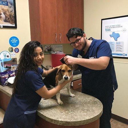VCA Oak Hills Animal Hospital