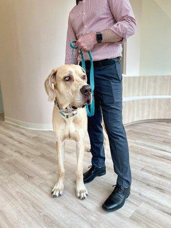 Petfolk Veterinary & Urgent Care - Far North Central