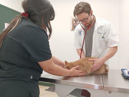 MPC Veterinary Care