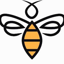 Bee Cave Recovery