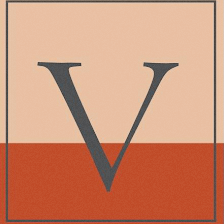 Vigini Paint and Design