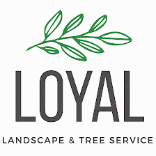 Loyal Landscape and Tree Service