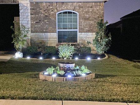Cultivated New Braunfels