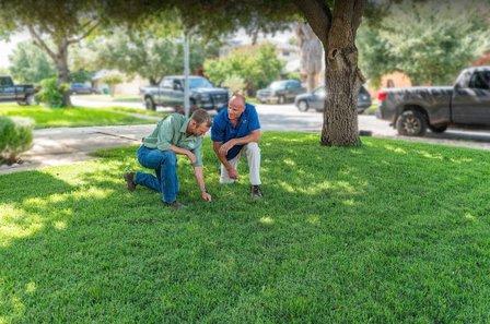 Emerald Lawns