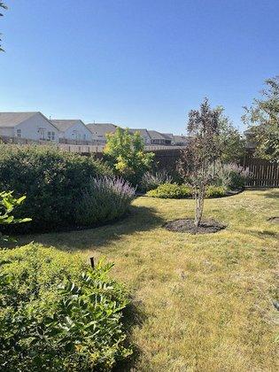 NBTX Lawn Care Services