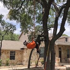 Aldrich Tree Services