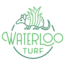 Waterloo Turf San Antonio