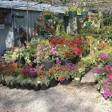 Fanick's Garden Center