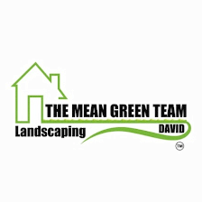 The mean green team