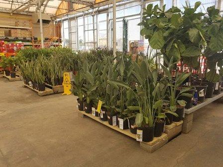 Garden Center at The Home Depot