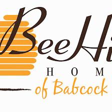 BeeHive Homes Assisted Living of Babcock Ridge