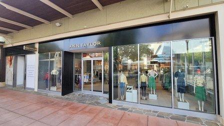 Ann Taylor