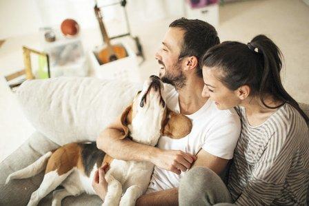 Sente Mortgage
