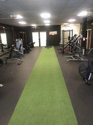Hybrid Theory Fitness