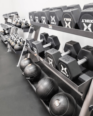 Evolution Fitness