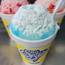Mike's Sno Biz