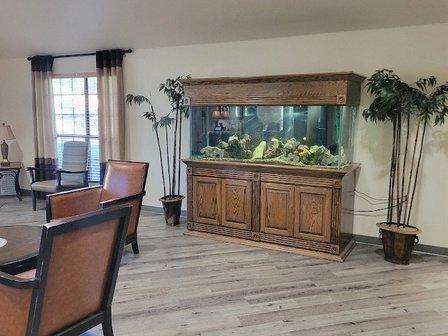 CenTex Reefers “Affordable Aquarium Maintenance, Service & Care”