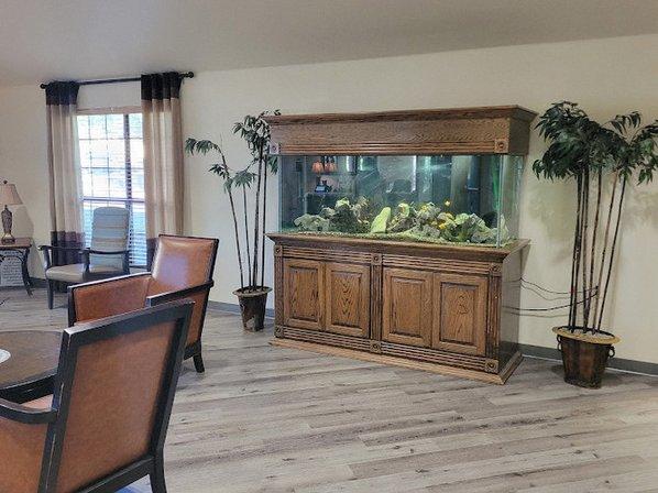 CenTex Reefers “Affordable Aquarium Maintenance, Service & Care”