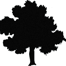 Spanish Oak Apartments