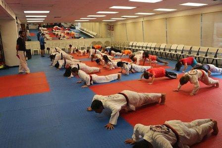 National School of Martial Arts