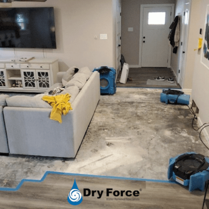 Dry Force Water Removal Specialists