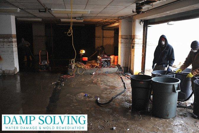 Damp Solving Water & Mold San Antonio