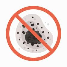 Jenkiny Clean Up | San Antonio Mold Removal Service