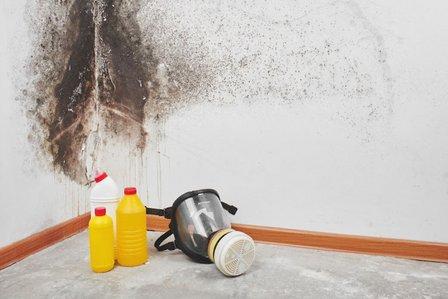 Jenkiny Clean Up | San Antonio Mold Removal Service