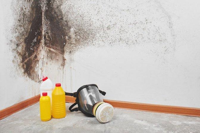 Jenkiny Clean Up | San Antonio Mold Removal Service