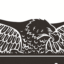 Eagle Restoration
