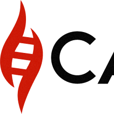 Catalyst Church SA