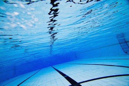 SwimFreak