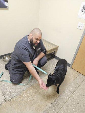 Vetco Total Care Animal Hospital