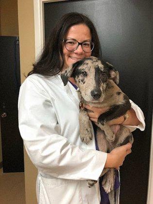Covenant Care Animal Hospital, A Thrive Pet Healthcare Partner