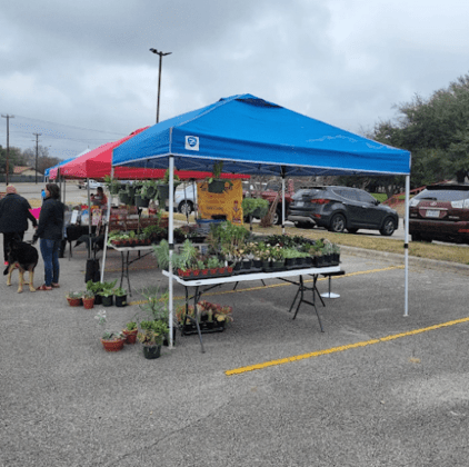 Trader's Town Country Market