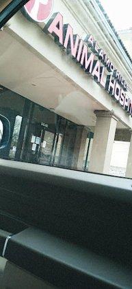 Veterinary Medical Association of Bexar County