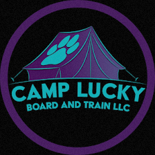 Camp Lucky Board and Train (San Antonio TX)