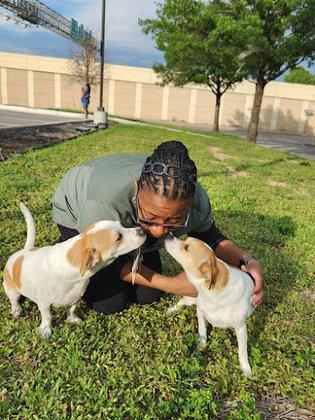 Vanguard Veterinary Clinic