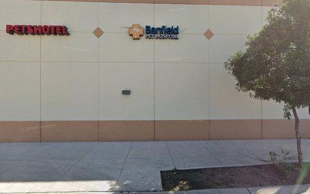 PetSmart Doggie Day Camp