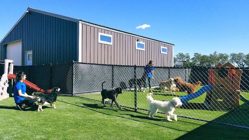 All Dogs Unleashed Dog Training San Antonio