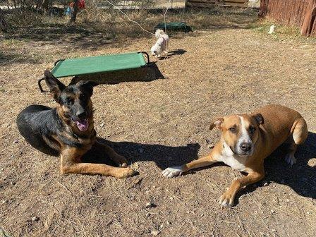 Eden Ranch Behaviorist