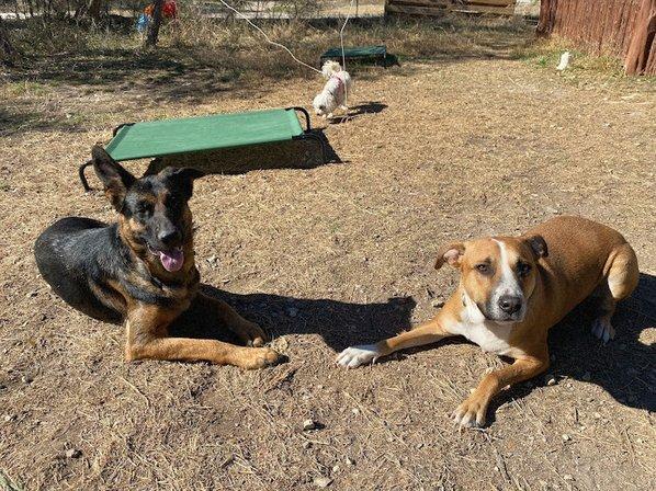 Eden Ranch Behaviorist