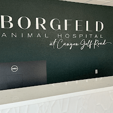 Borgfeld Animal Hospital at Canyon Golf