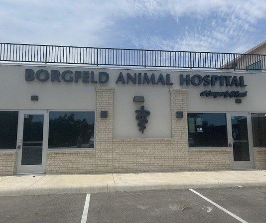 Borgfeld Animal Hospital at Canyon Golf