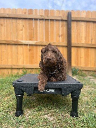 Train Them Right K9 Academy
