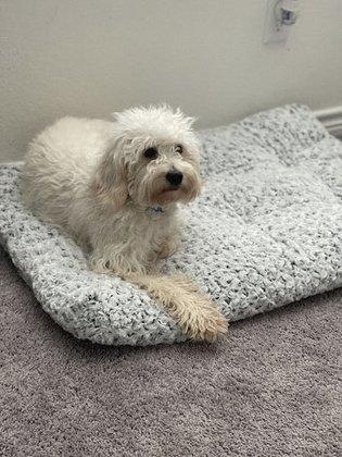 Linwoodd Grooming + Pet Resort