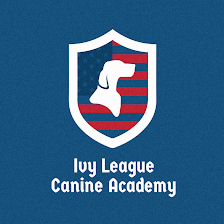 Ivy League Canine Academy